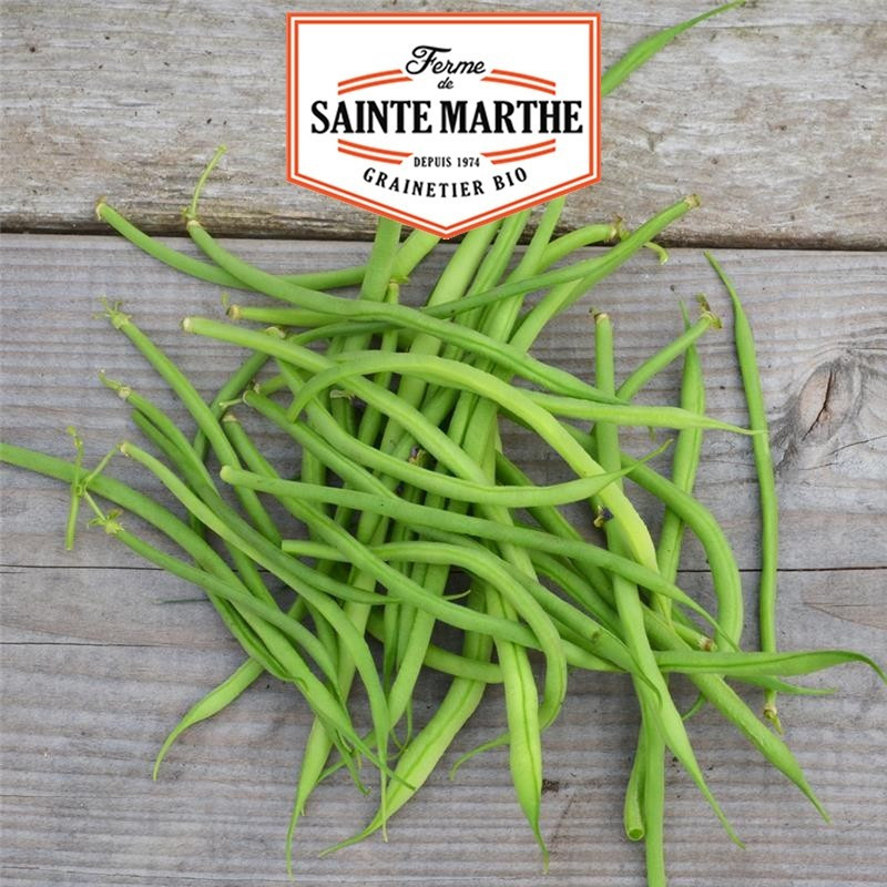  <x>La ferme Sainte Marthe</x> - 80 grams Dwarf Beans Spine Beans Filet Mango