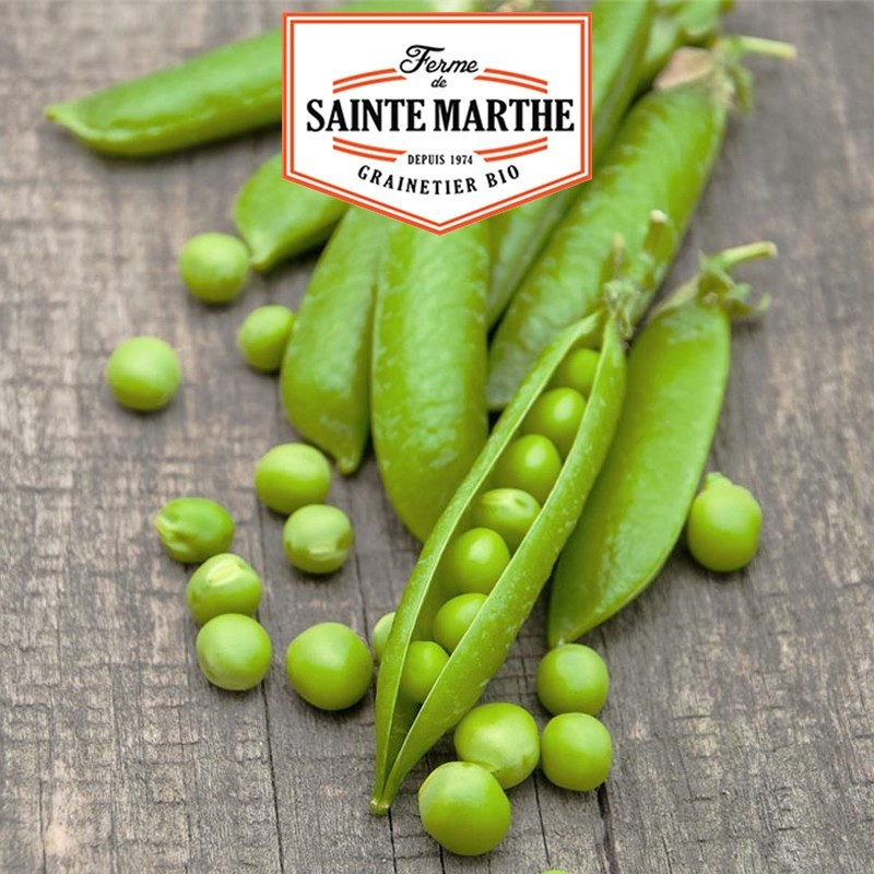  <x>La ferme Sainte Marthe</x> - 80 grams Sweet Dwarf Peas Provence Round Grain Shelling