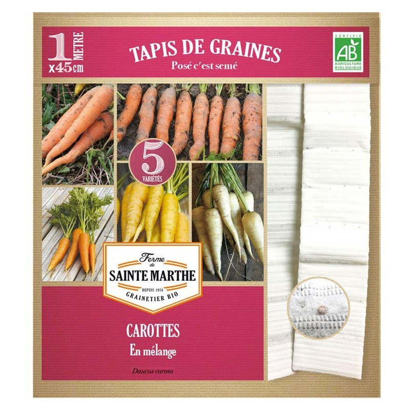  <x>La ferme Sainte Marthe</x> - Teppich aus gemischten Karotten in 5 Reihen