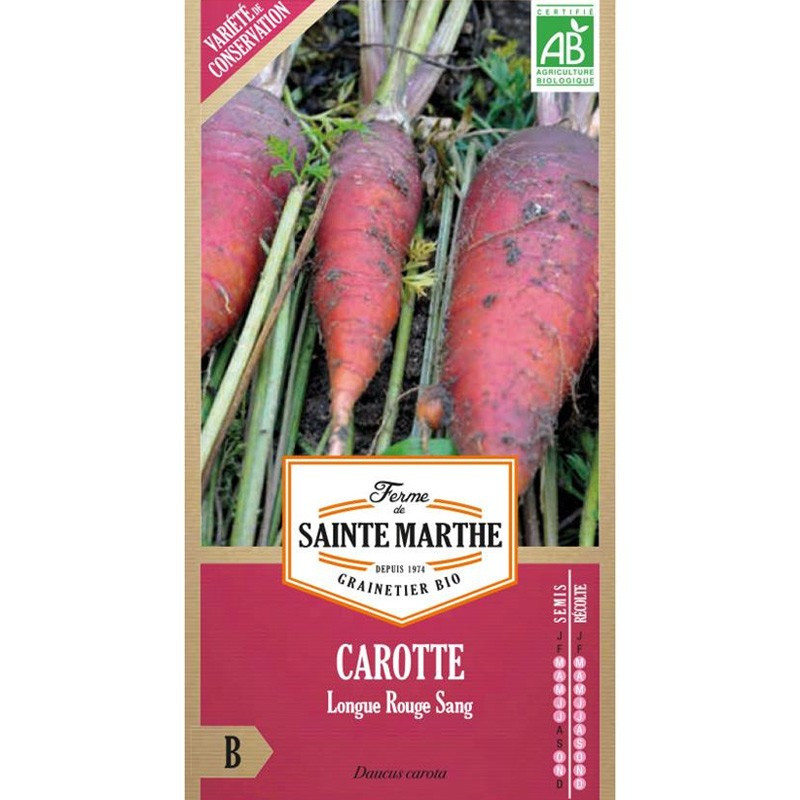 1500 GRAINES CAROTTE LONGUE ROUGE SANG 1.8g - La ferme Sainte Marthe 