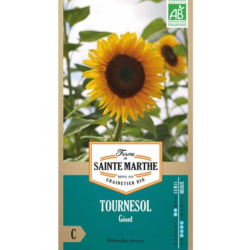 50 Riesensonnenblumensamen 4.25g - <x>La ferme Sainte Marthe</x> 
