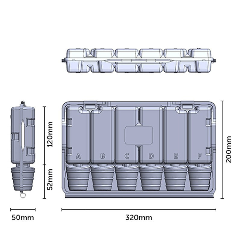 Transparent shipping box / 6 plants - 320 x 200 x 50 mm