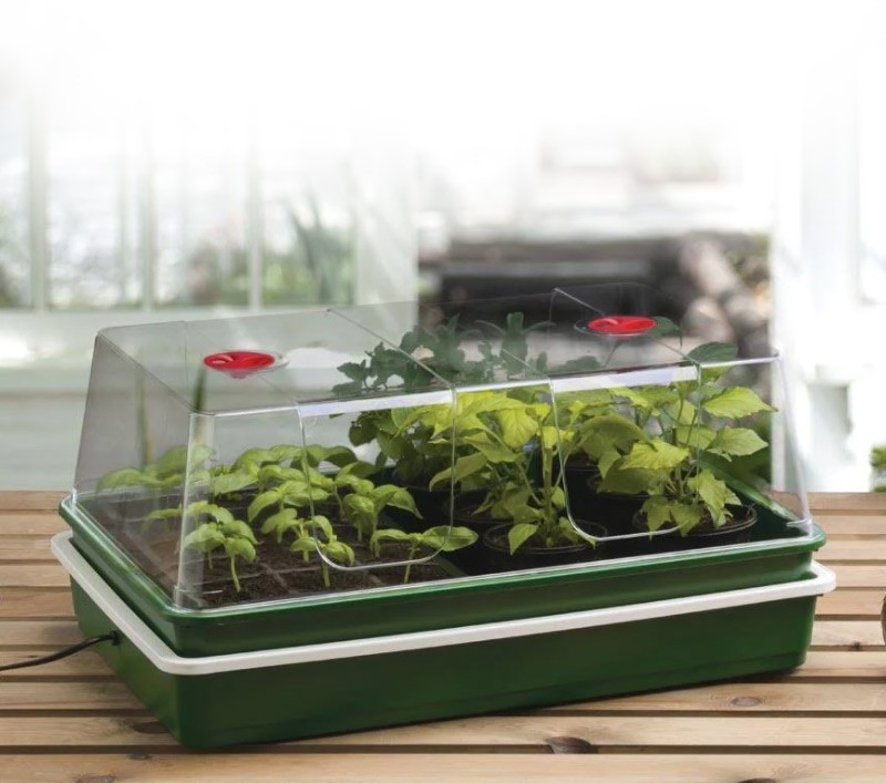 La Maison du Cordon Chauffant Antigel - Cordon chauffant pour terrarium,  mini serre, semi, plante