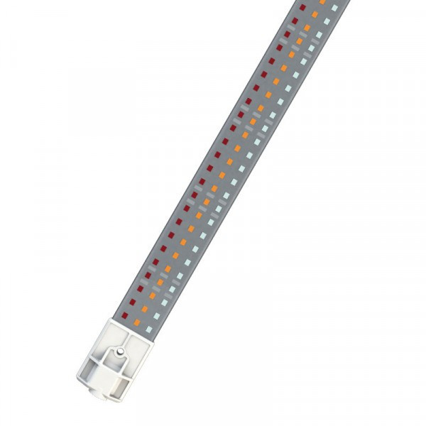 COSMORROW LED 20W 24V L50 CM ULTRAVIOLETA