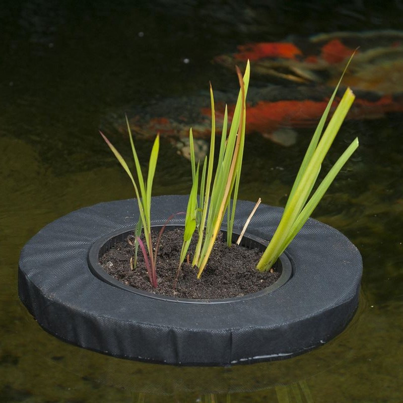 Vertrek Plicht Versterker Zwemplant - Eiland voor waterplanten - Diameter 35 cm - Ubbink