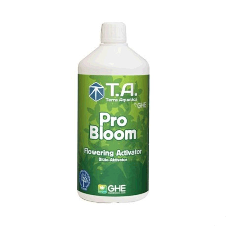 GH Bloom 250ml