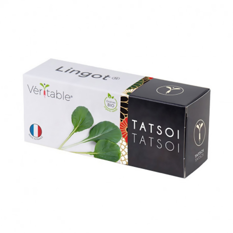 Tatsoi-Samen Bio - Nachfüllpackung Lingot - Gemüsegarten Veritable