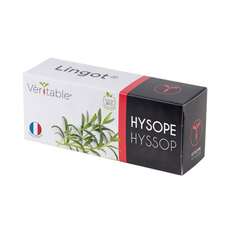 Hyssop Seed Organic - Recheio de Ingot - horta Veritable