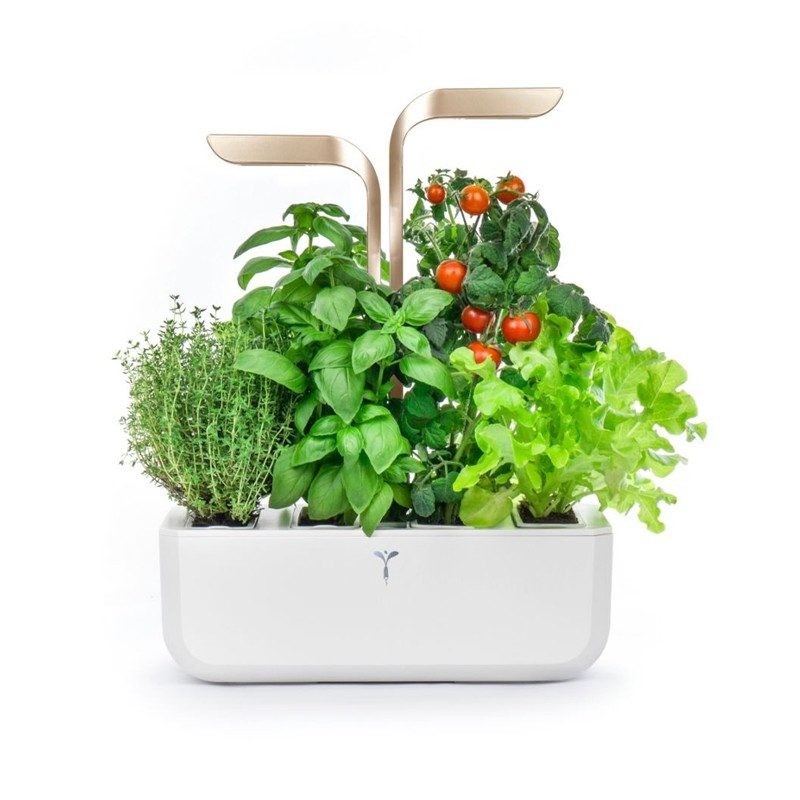 Prêt à Pousser LILO CONNECT - The Smart Indoor Garden Fresh herbs