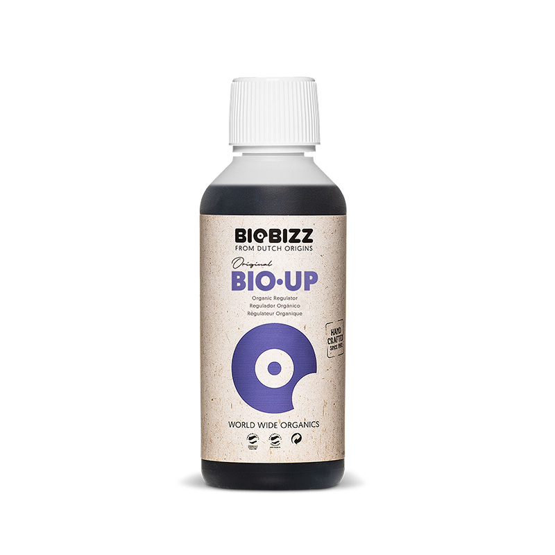 Bio Up - Ph - 250ml Biobizz