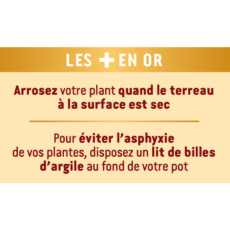 Terreau - 20L - Potager et plantes aromatiques - Or Brun