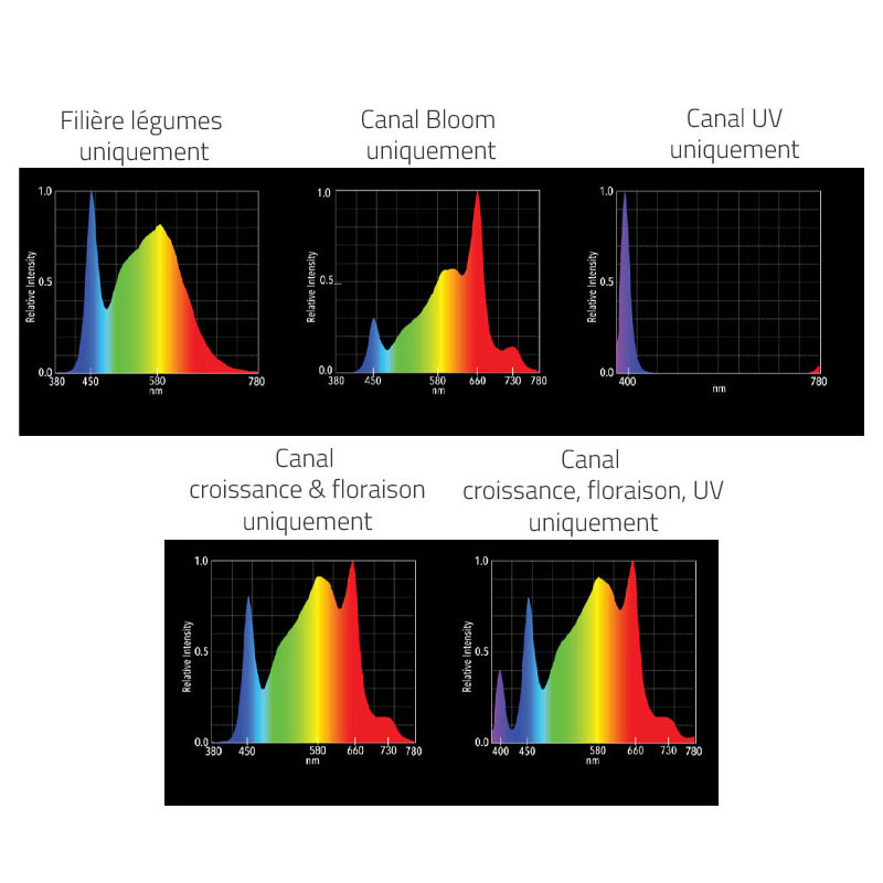 Verlichtingssysteem 510W - 6 Bars - VS3 Hellion LED