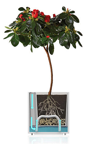 Zelfbevloeiende pot - Driehoek -14cm - Elegant Red- Flower Lover
