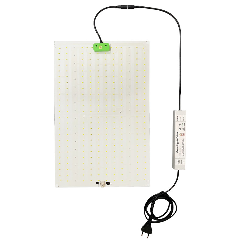 Led gartenbau 2.3 Quantum Light 120W - Superplant