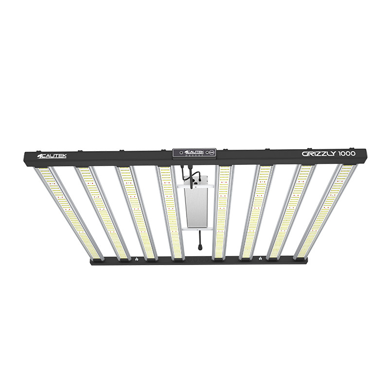 Led Grizzly - 1000W 3.0 - Calitek