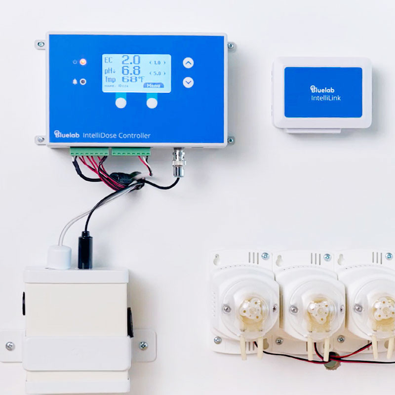 Beheer op afstand met Intellink- Bluelab