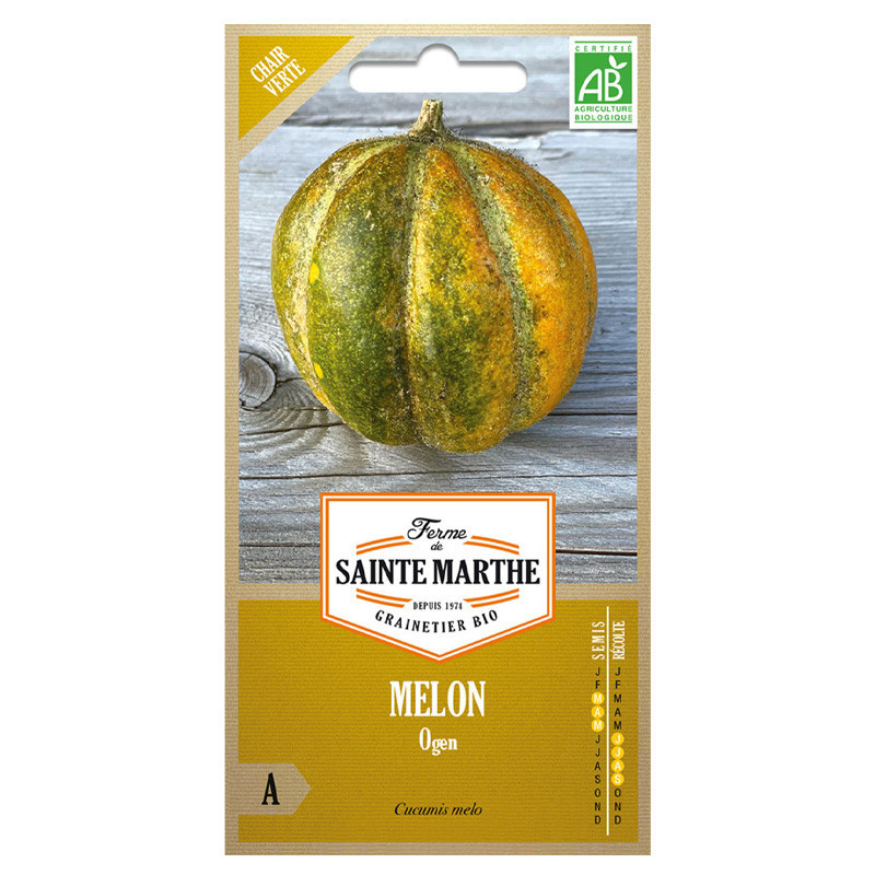 15 GRAINES MELON OGEN AB