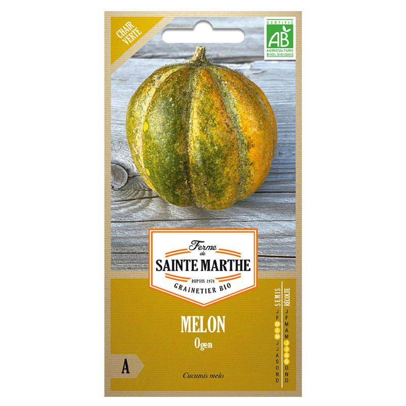 Melon Ogen - 15 graines - AB - La ferme Sainte Marthe