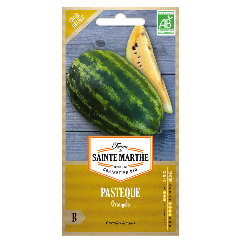 Pasteque Orangelo - 15 graines - AB - La ferme Sainte Marthe
