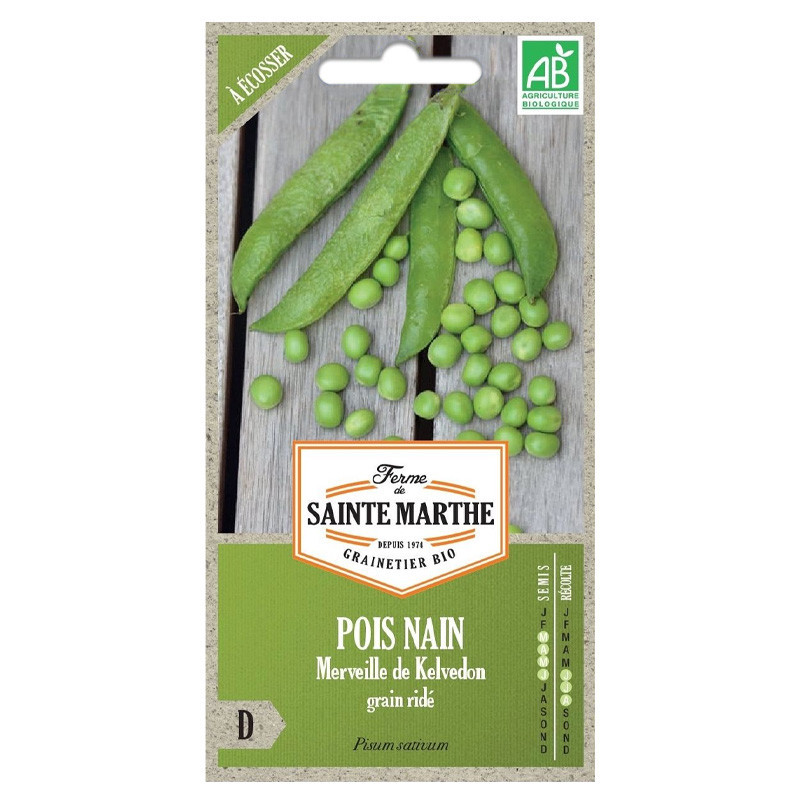 310 GRN POIS NAIN MERVEILLE DE KELVEDON A GRAIN RIDE A ECOS AB 80G