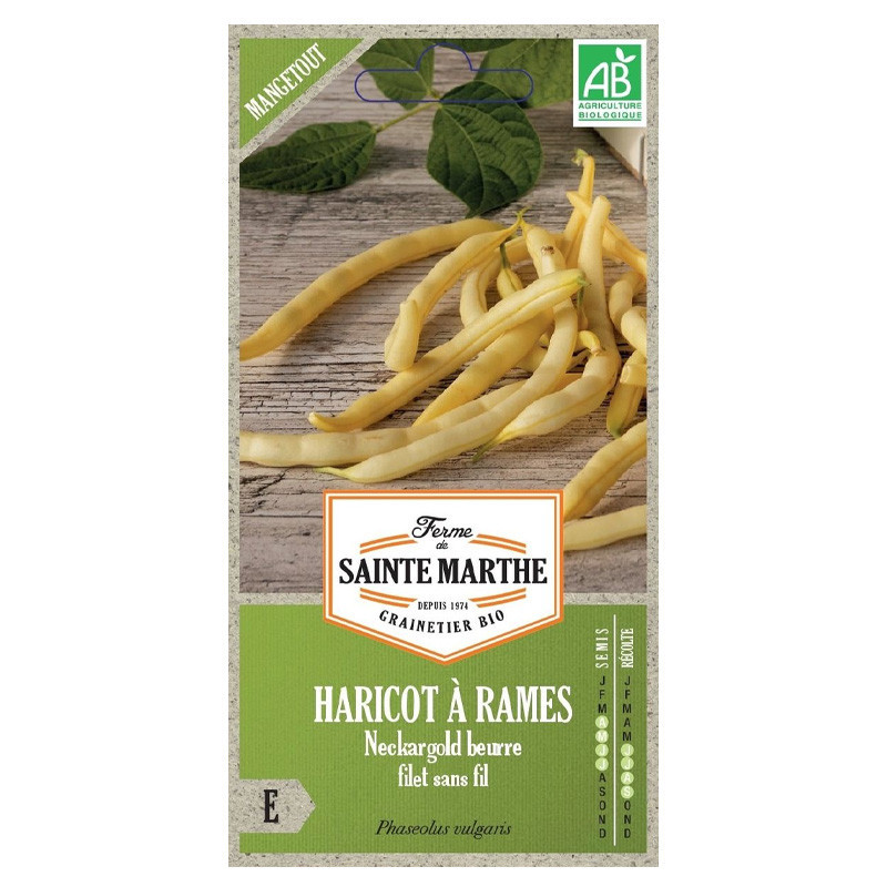 Haricot à Rames Neckargold Mangetout - 190 graines - AB - La ferme Sainte Marthe