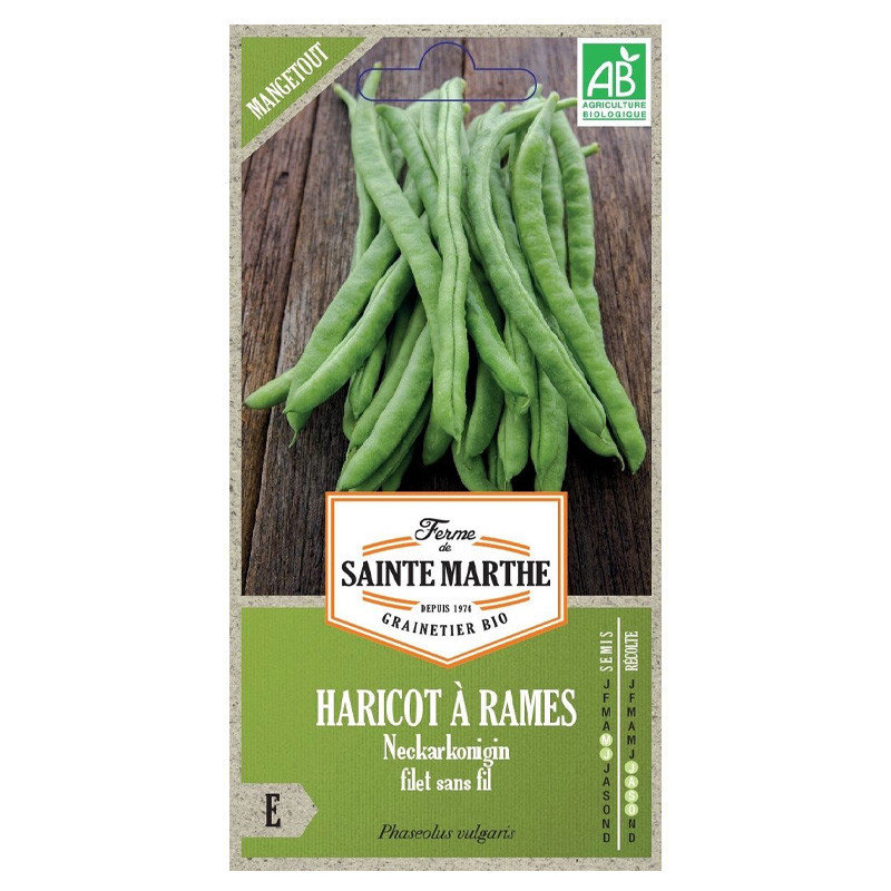 Haricot à Rames Neckarkonigin Mangetout - 190 graines - AB - La ferme Sainte Marthe