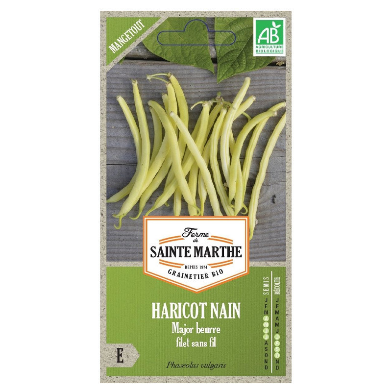 env.280 GRAINES HARICOT NAIN MAJOR MANGETOUT AB 80 g