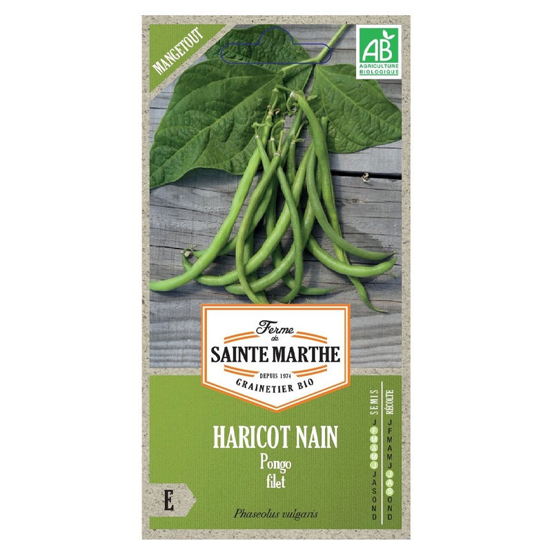 Haricot Nain Pongo Filet Mangetout - 310 graines - AB - La ferme Sainte Marthe