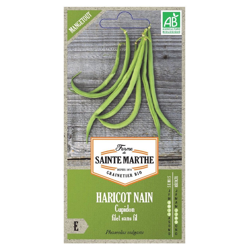 Haricot Nain Cupidon Filet sans fil Mangetout - 325 graines - AB - La ferme Sainte Marthe