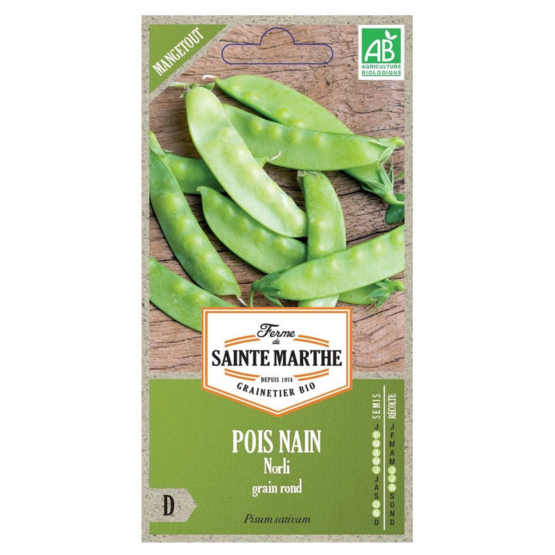 env.465 GRAINES POIS NAIN NORLI GRAIN ROND MANGETOUT AB 80 g