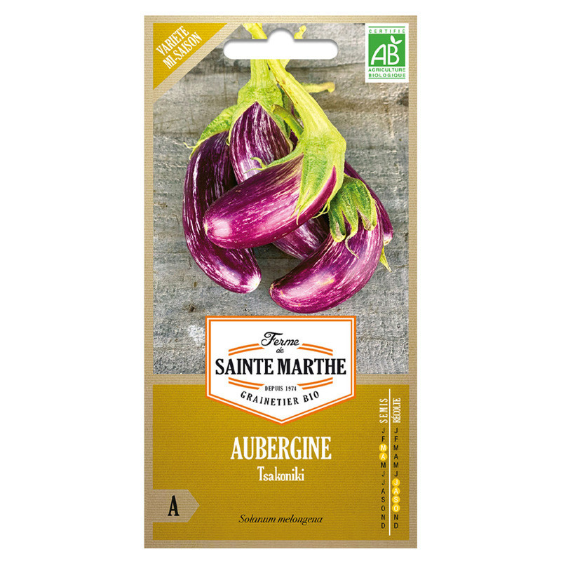 50 GRAINES AUBERGINE TSAKONIKI AB