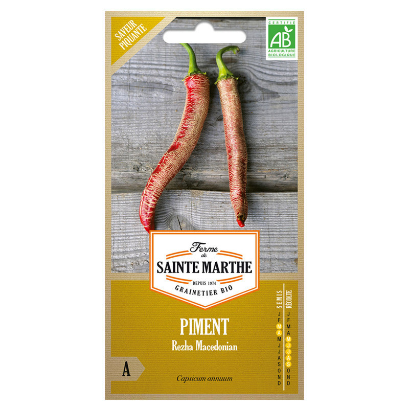 Piment Rezha Macédonien - 30 graines - AB - La ferme Sainte Marthe