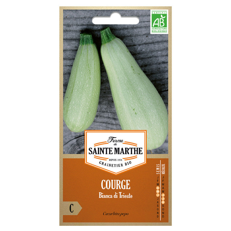 Courgette Bianca Di Trieste ou Bianca Goriziana - 15 graines - AB - La ferme Sainte Marthe