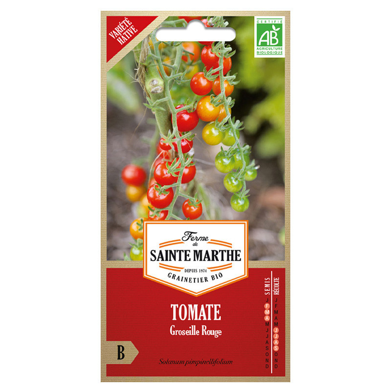 Tomate Groseille Rouge Type Petit Moineau - 50 graines - AB - La ferme Sainte Marthe