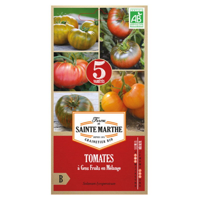 Tomate à Gros Fruits en Mélange - 50 graines - AB - La ferme Sainte Marthe