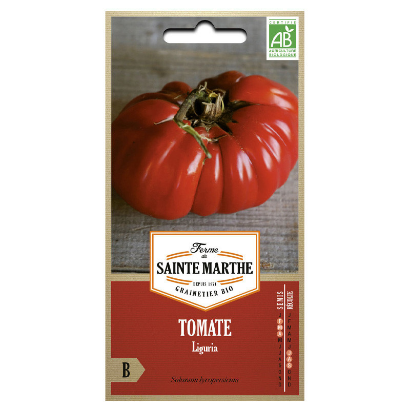 Tomate Ligurie - 50 graines - AB - La ferme Sainte Marthe