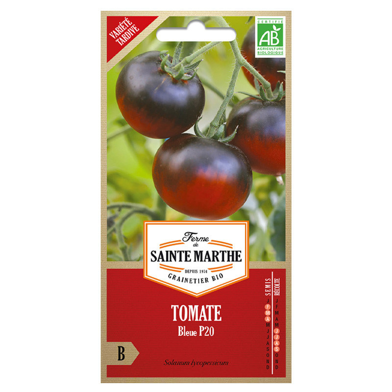 50 GRAINES TOMATE BLEUE P20 OU OSU BLUE P20 AB