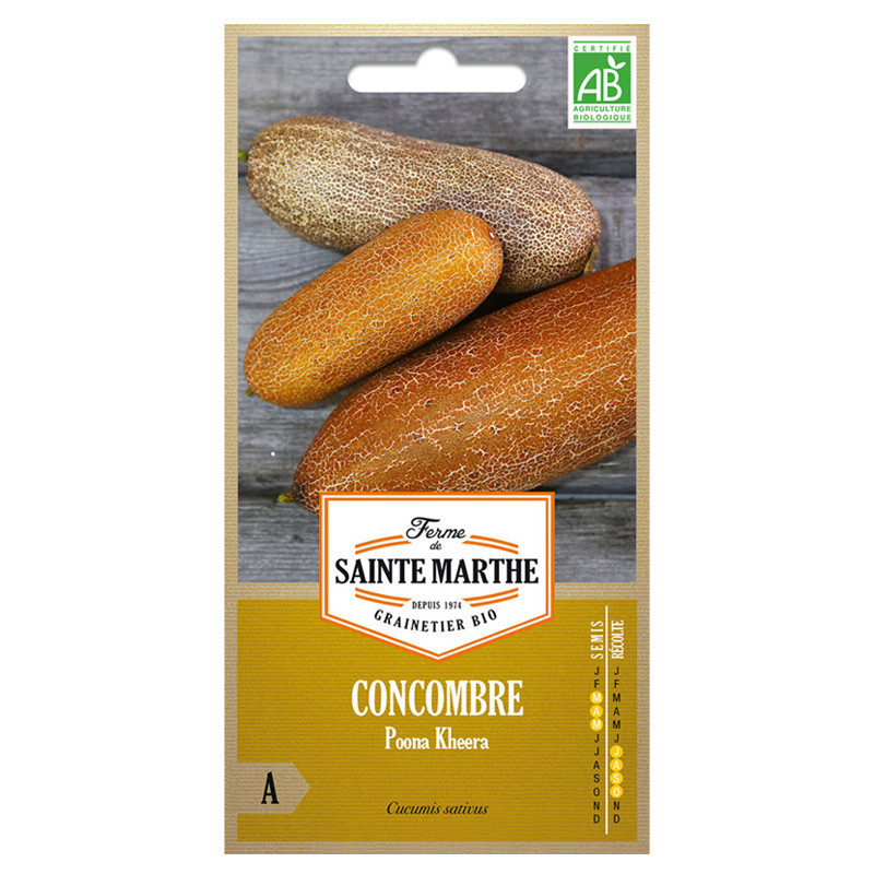 Concombre Poona Kheera - 20 graines - AB - La ferme Sainte Marthe