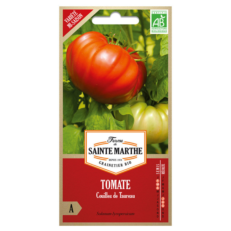 50 GRAINES TOMATE COUILLES DE TAUREAU AB