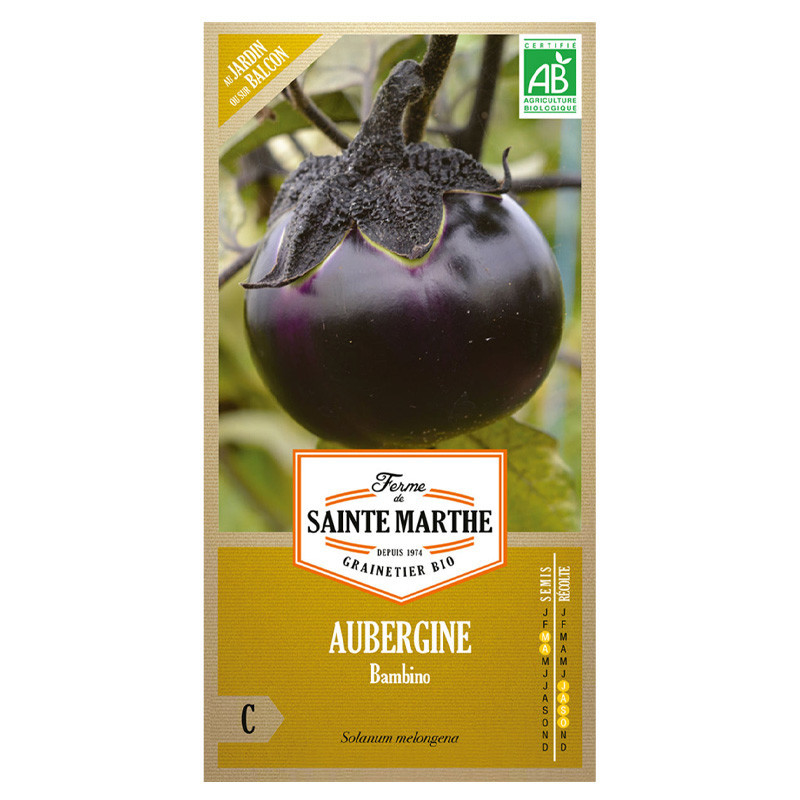 Aubergine Bambino - 50 graines - AB - La ferme Sainte Marthe