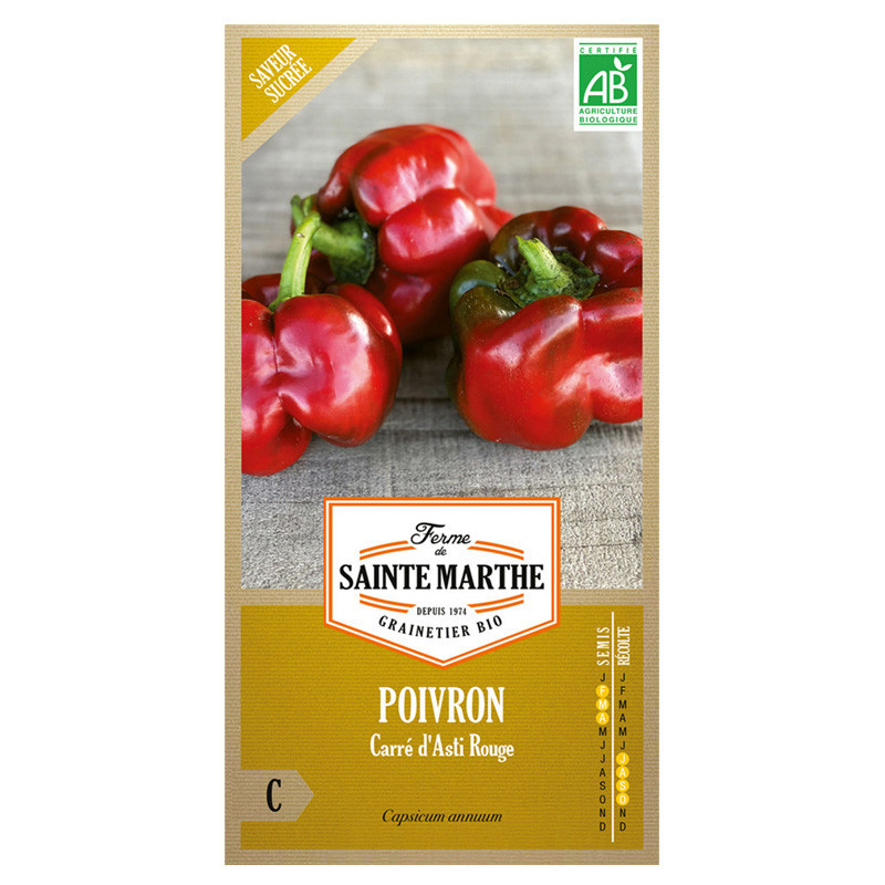 30 GRAINES POIVRON CARRE D´ASTI ROUGE AB