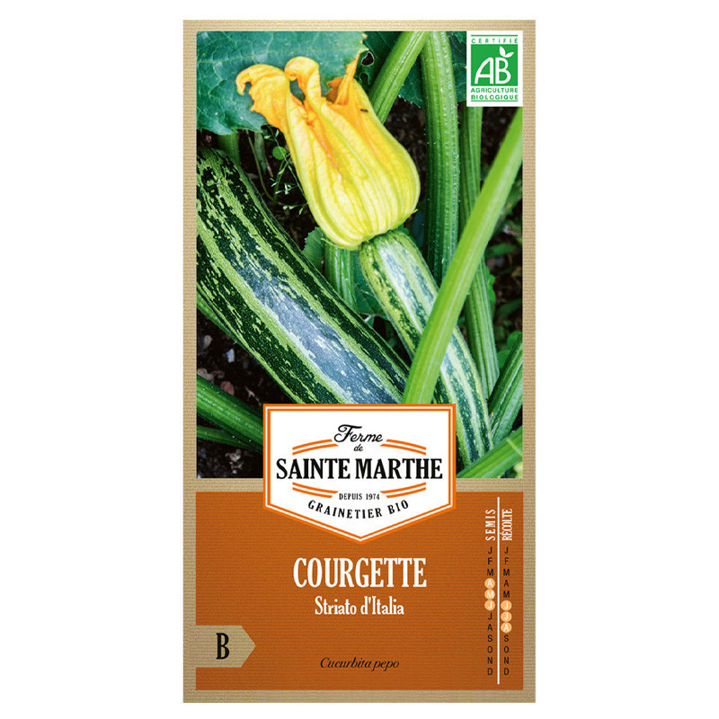 Courgette Striato d'Italia - 15 graines - AB - La ferme Sainte Marthe