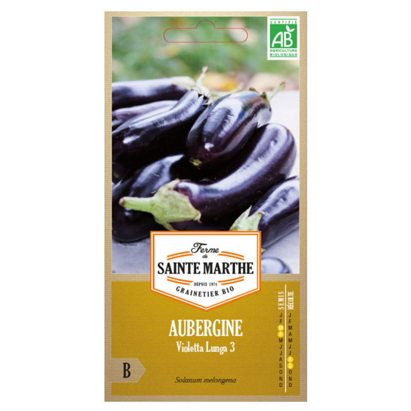 Aubergine Violetta Lunga 3 - 50 graines - AB - La ferme Sainte Marthe