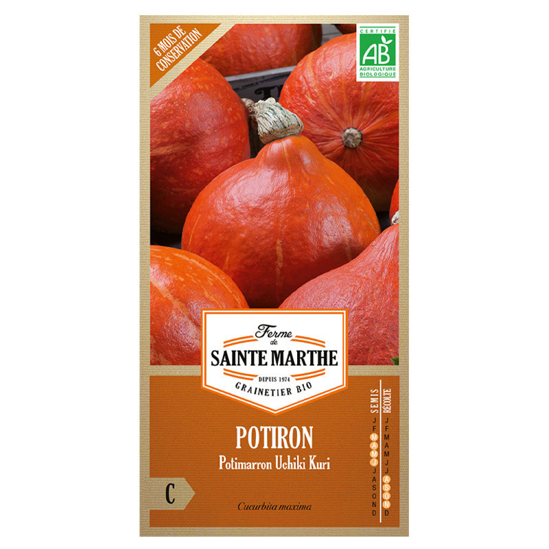 Potiron Potimarron Uchiki Kuri - 15 graines - AB - La ferme Sainte Marthe