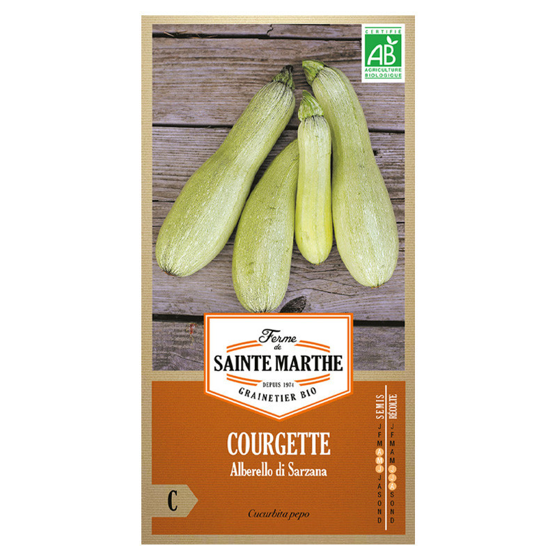 15 GRAINES COURGETTE ALBERELLO DI SARZANA AB