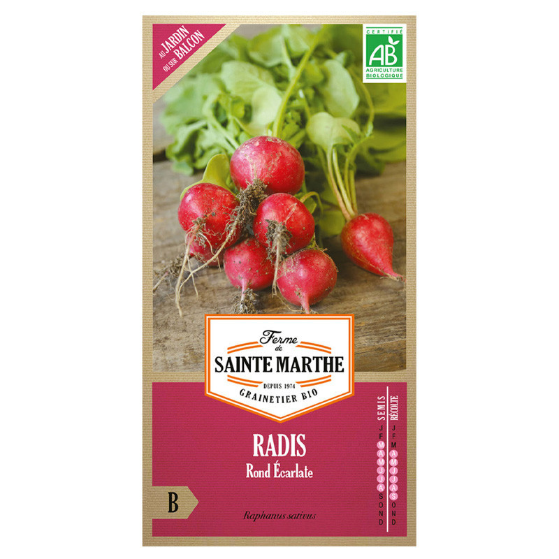 Radis Rond Ecarlate - 1000 graines - AB - La ferme Sainte Marthe