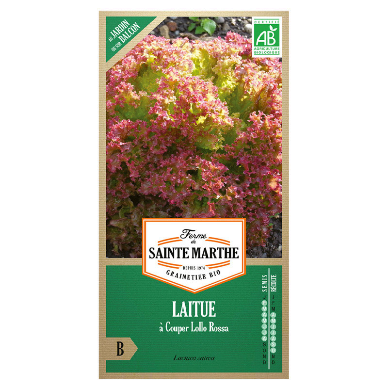 Laitue à Couper Lolla Rossa - 500 graines - AB - La ferme Sainte Marthe