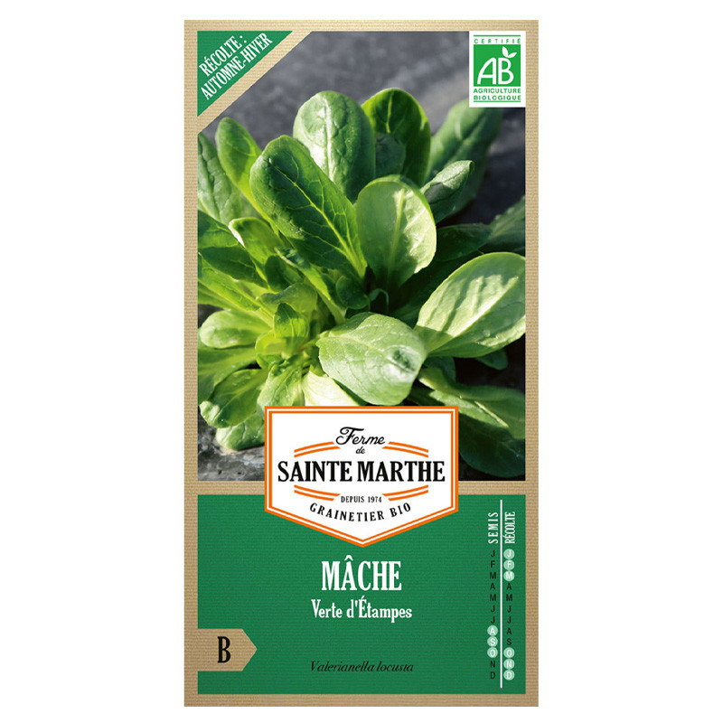 Mache Verte d'Etampes - 500 graines - AB - La ferme Sainte Marthe