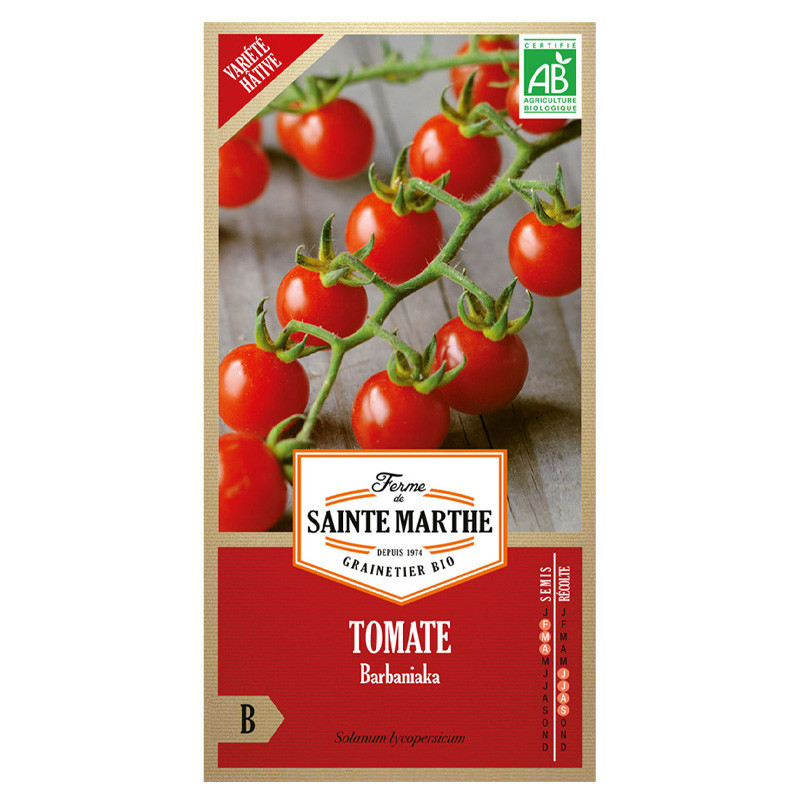 Tomate Barbaniaka - 50 graines - AB - La ferme Sainte Marthe