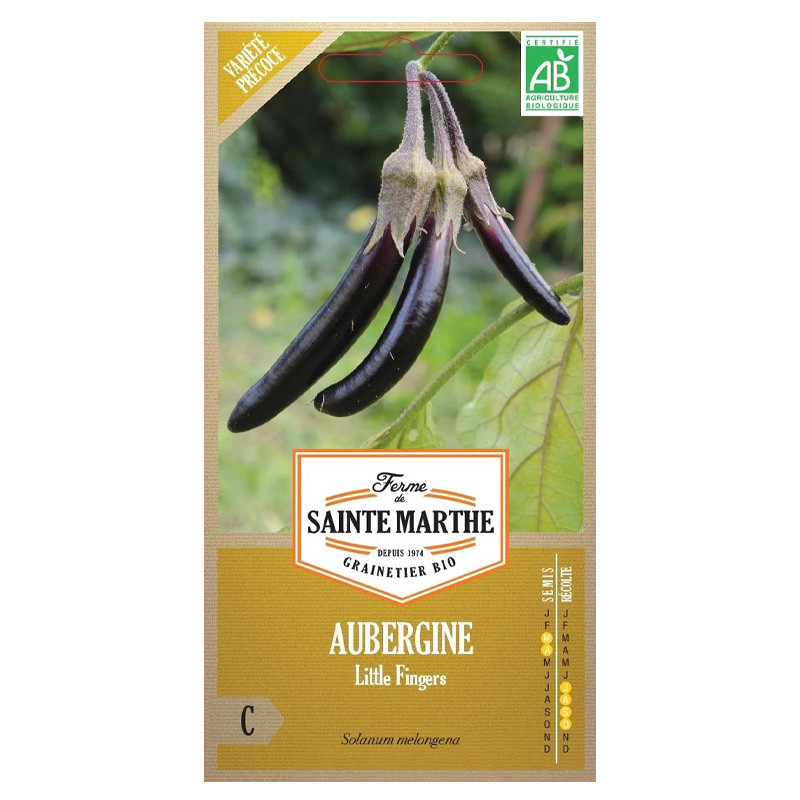 Aubergine Little Fingers - 50 graines - AB - La ferme Sainte Marthe